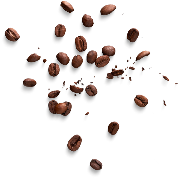 granos de café