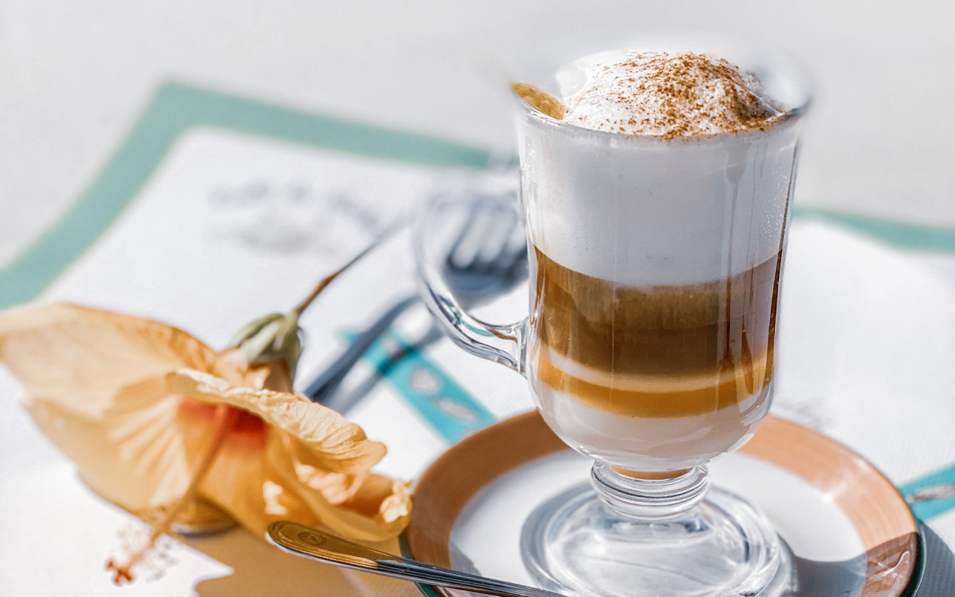 recetas con barraquito
