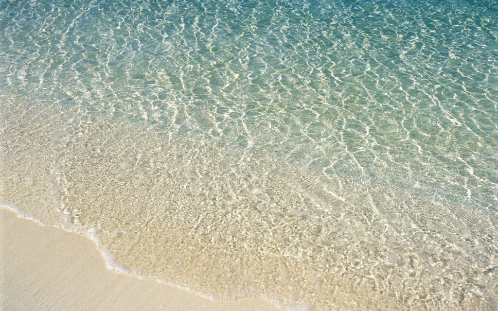 Día de Playa