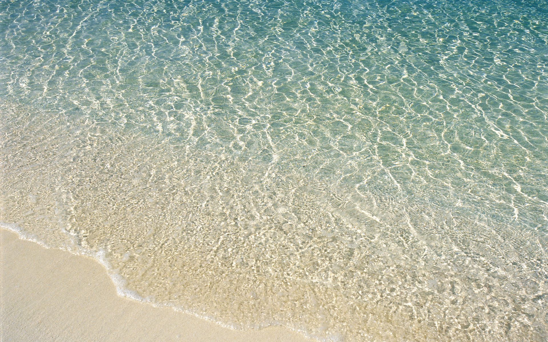 Día de Playa